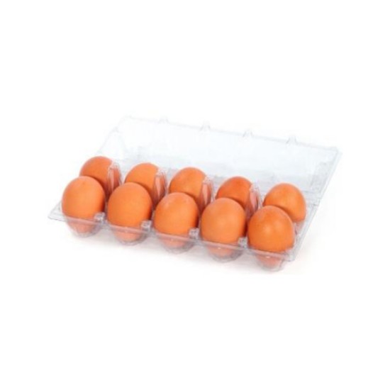 GOLKOY GURME GEZEN TAVUK YUMURTASI 10 LU