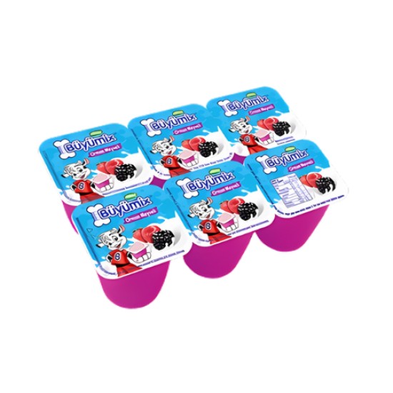 SUTAS BUYUMIX WITH FOREST FRUITS 6*45 GR