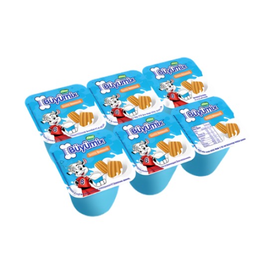 SUTAS BUYUMIX SUTLU BISKUVILI 6*45 GR