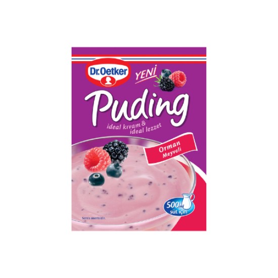DR OETKER FOREST FRUITS PUDDING 81 GR